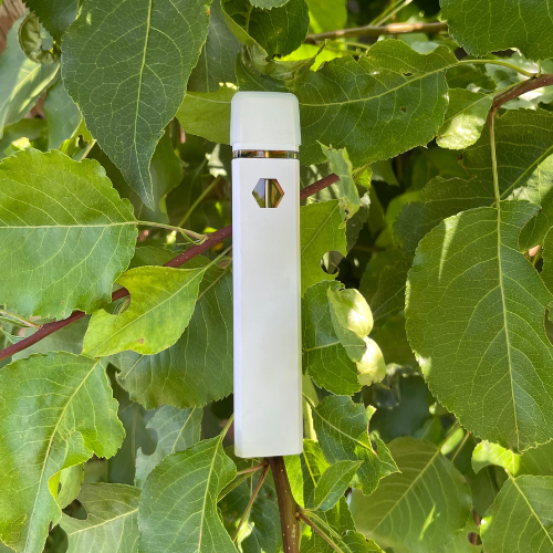 Delta 8 one gram disposable/rechargeable Vape Pen – Nature's  Botanicals/Havana Hemp